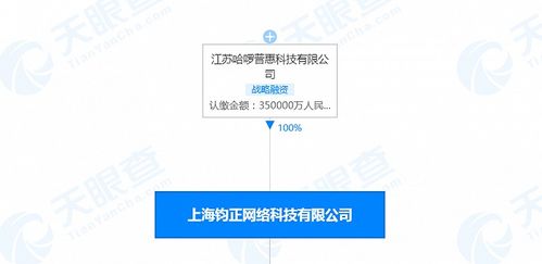哈啰出行關(guān)聯(lián)公司注冊(cè)資本增至35億人民幣，信息系統(tǒng)集成服務(wù)或成戰(zhàn)略新支點(diǎn)