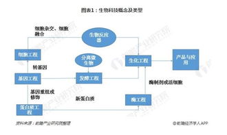 生物科技領域細分痛點與數字科技技術轉讓的深度融合路徑